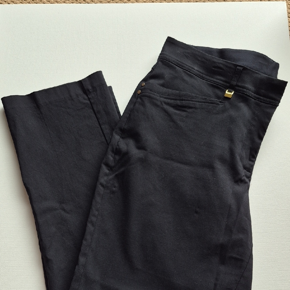 JM Collection Slimming Dress Pants With Slimming Waste Panel